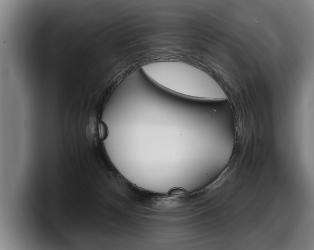 X0000100310132200806051337