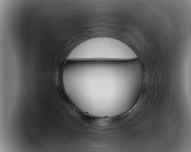 X0000100310136200806051336