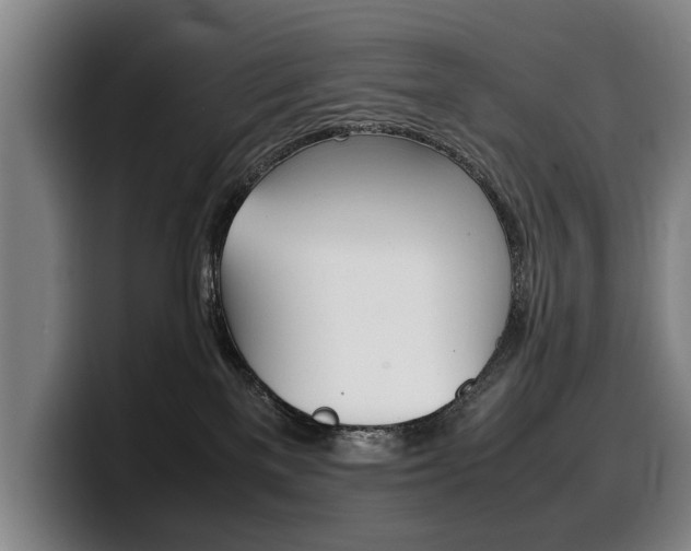 X0000100310137200806051336