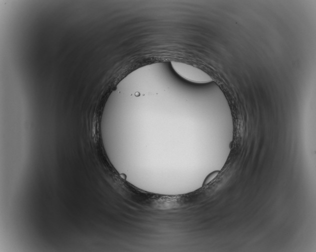 X0000100310138200806051336