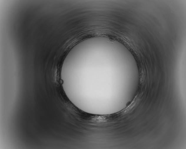 X0000100310140200806051336