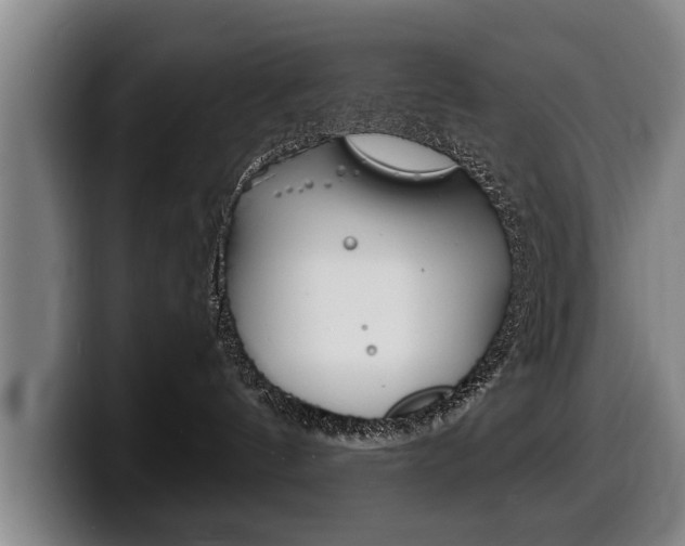 X0000100310144200806051336