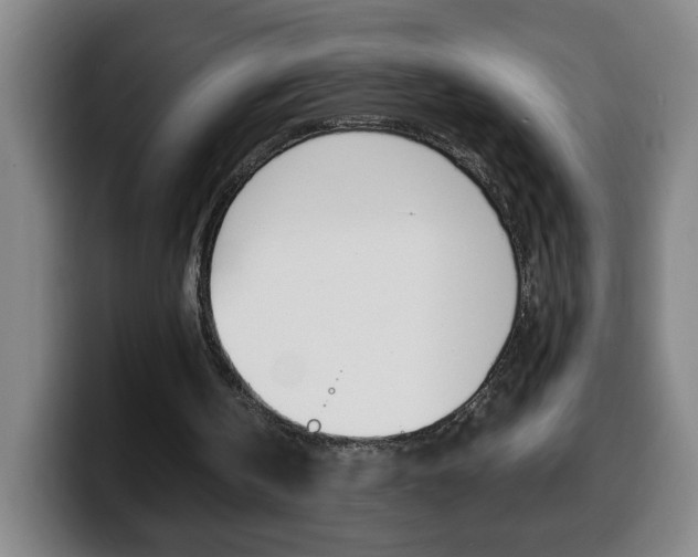 X0000100310146200806051336