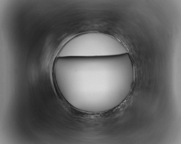 X0000100310147200806051336