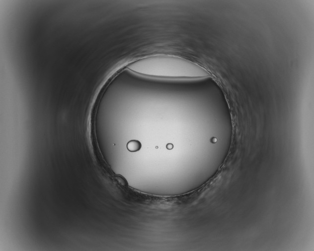 X0000100310148200806051336