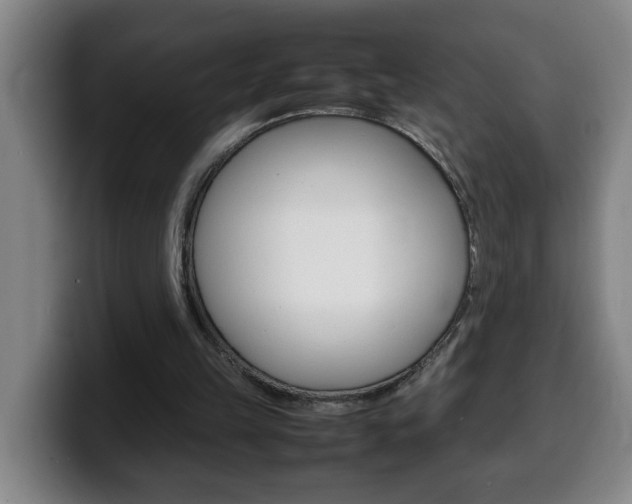 X0000100310149200806051336