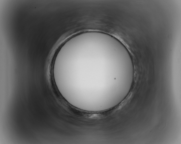 X0000100310151200806051336
