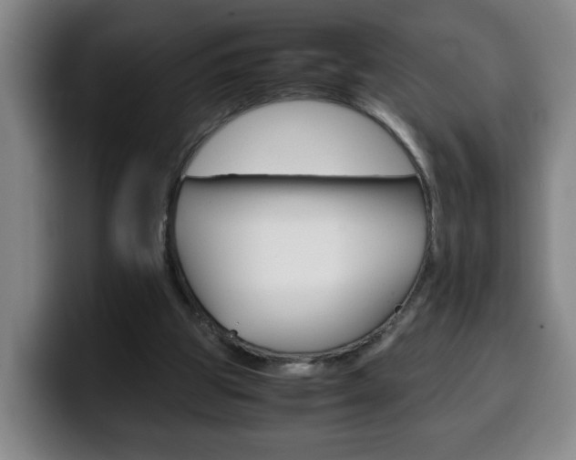 X0000100310153200806051336