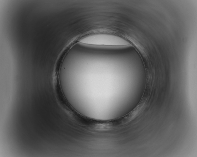 X0000100310160200806051336