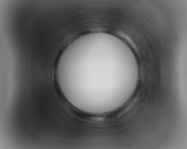 X0000100310161200806051336
