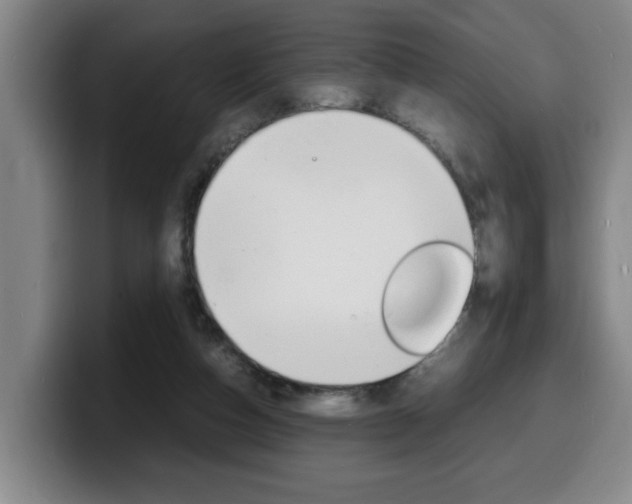 X0000100310162200806051336