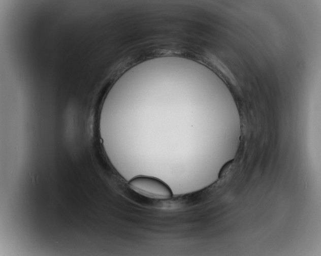 X0000100310163200806051336