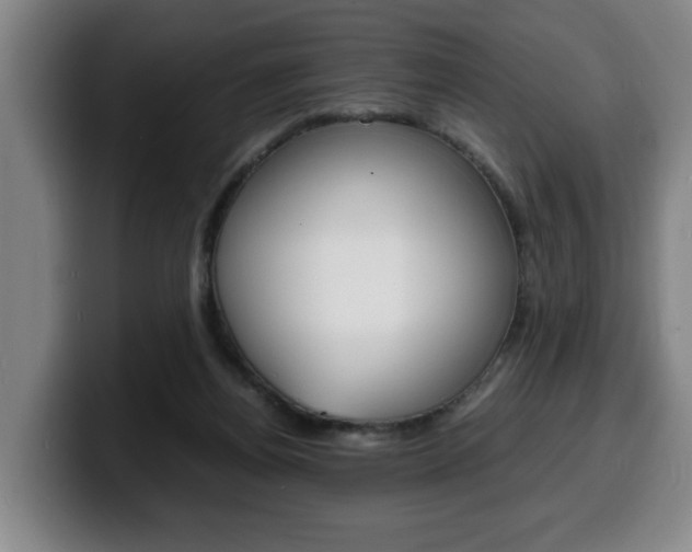 X0000100310164200806051336