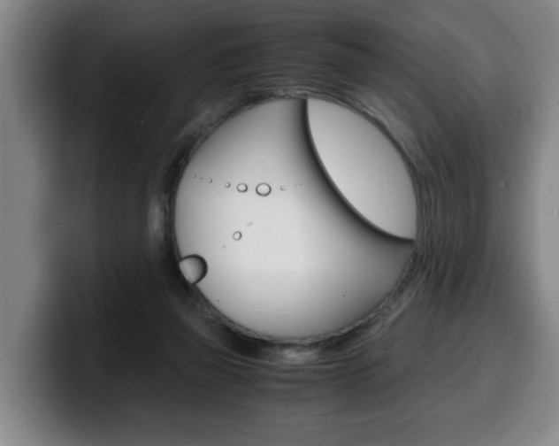X0000100310165200806051336