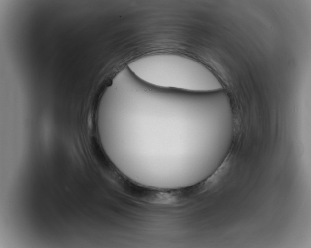 X0000100310166200806051336