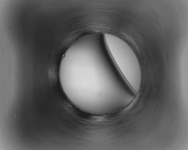 X0000100310170200806051336