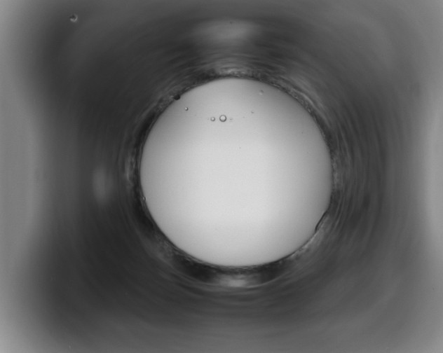 X0000100310171200806051336