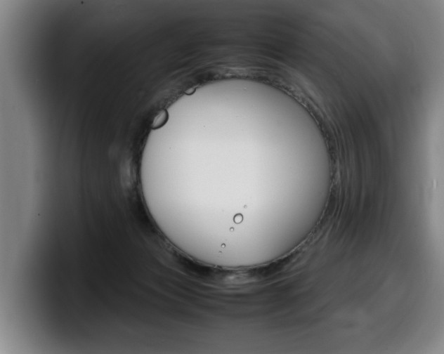 X0000100310173200806051336