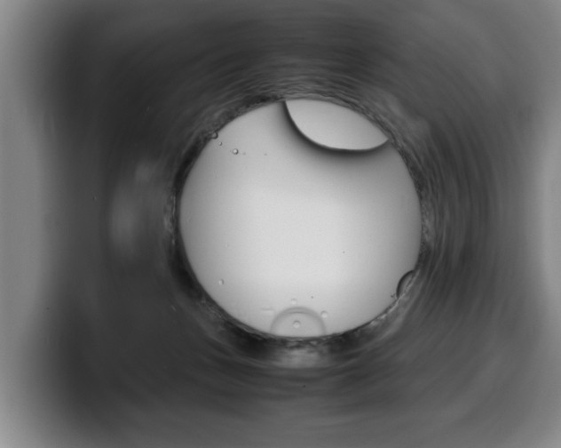 X0000100310175200806051336