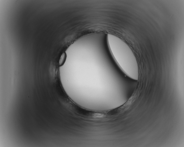 X0000100310176200806051336