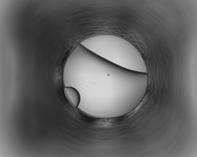 X0000100310179200806051336