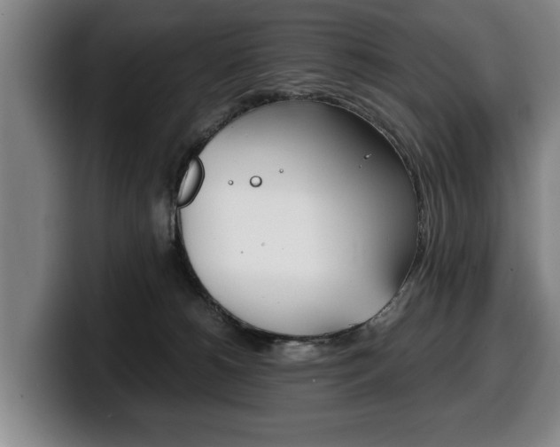 X0000100310180200806051336