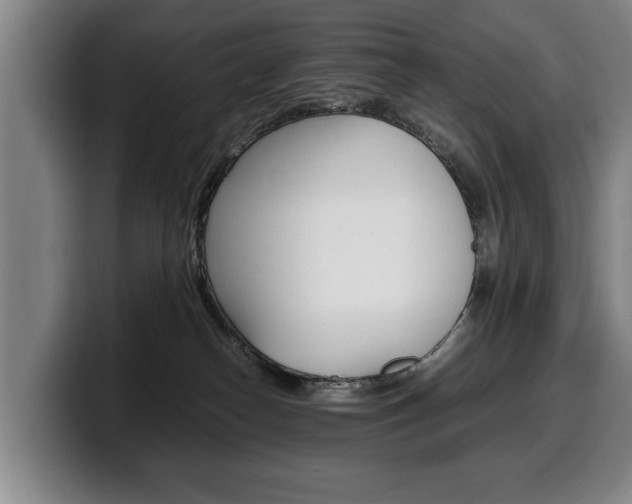 X0000100310182200806051336