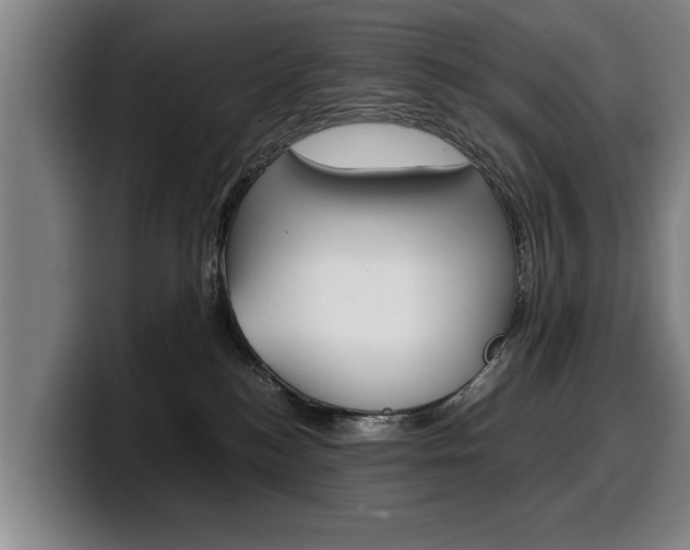 X0000100310184200806051336