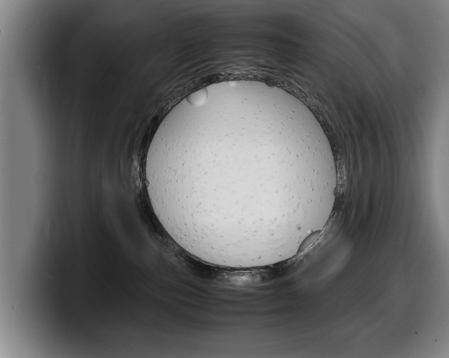 X0000100310187200806051336