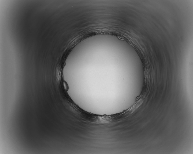 X0000100310188200806051336