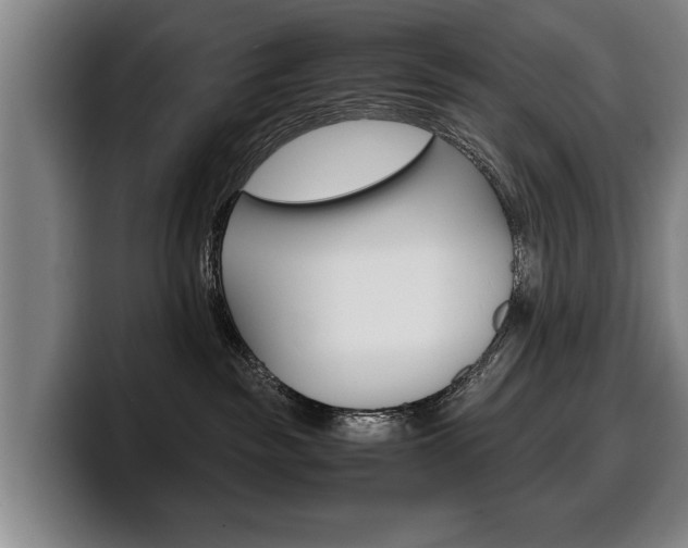 X0000100310189200806051336
