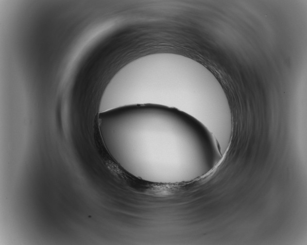 X0000100310190200806051336