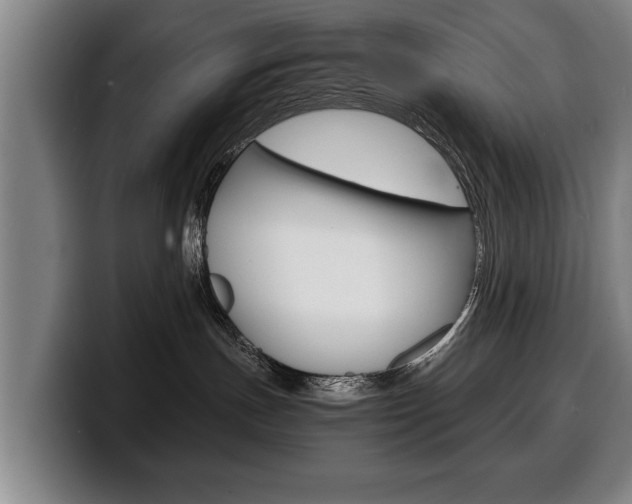 X0000100310191200806051336