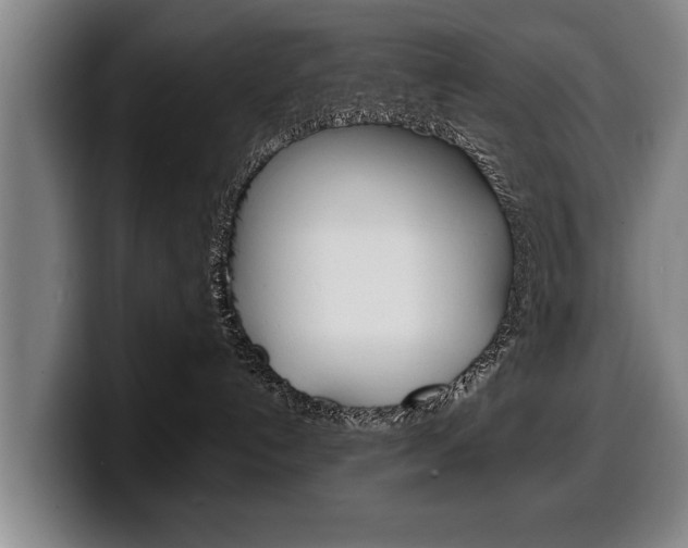 X0000100310192200806051336