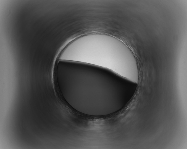 X0000100310196200806051336