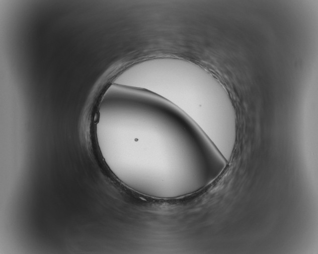 X0000100310197200806051336