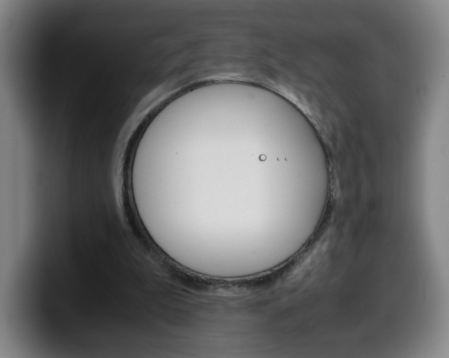 X0000100310199200806051336