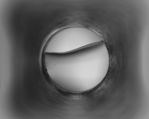 X0000100310200200806051336