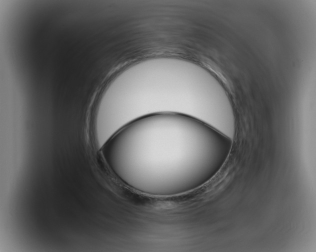 X0000100310203200806051336