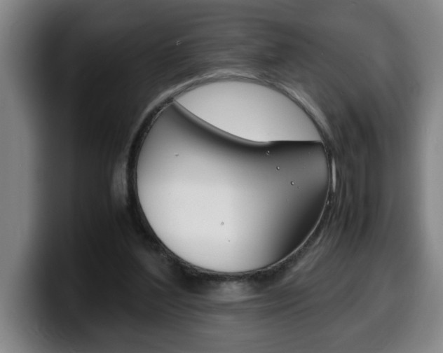 X0000100310204200806051336