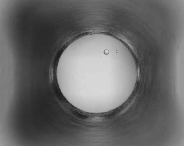 X0000100310205200806051336