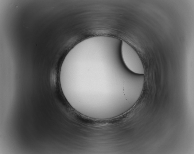 X0000100310206200806051336