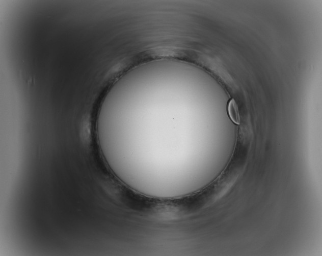 X0000100310207200806051336