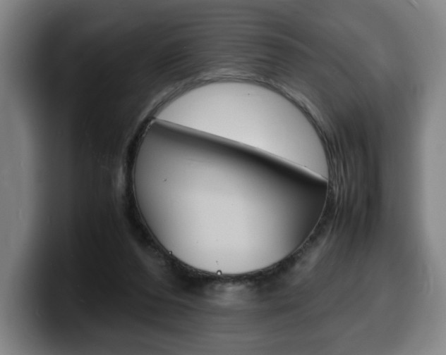X0000100310208200806051336