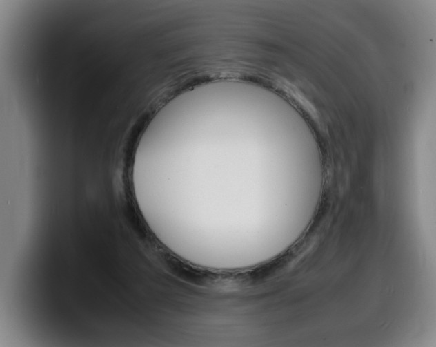 X0000100310209200806051336