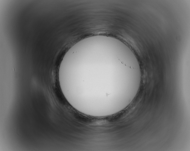 X0000100310210200806051335