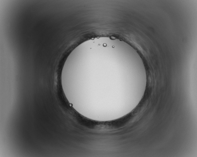 X0000100310211200806051335