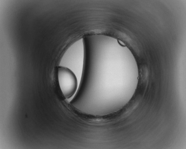 X0000100310212200806051335