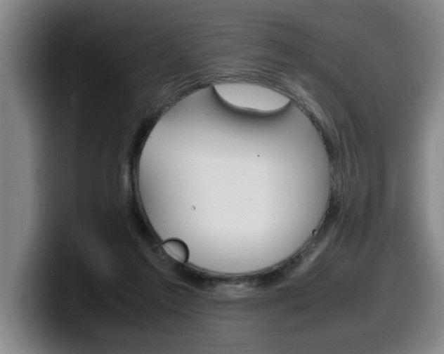 X0000100310213200806051335