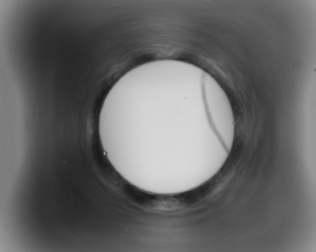 X0000100310215200806051335